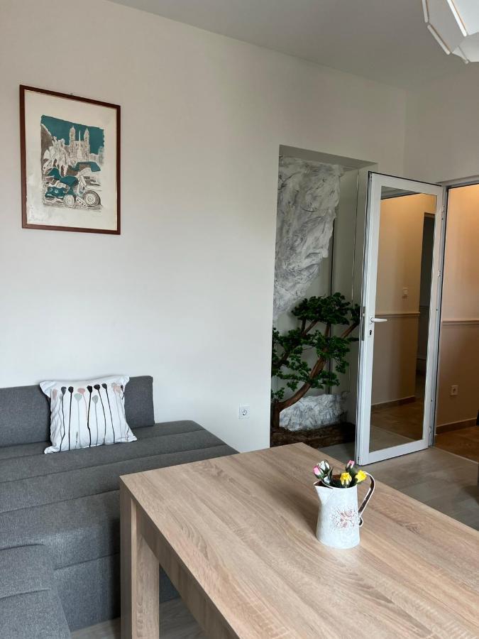 Vitosha 60 Apartman Szófia Kültér fotó