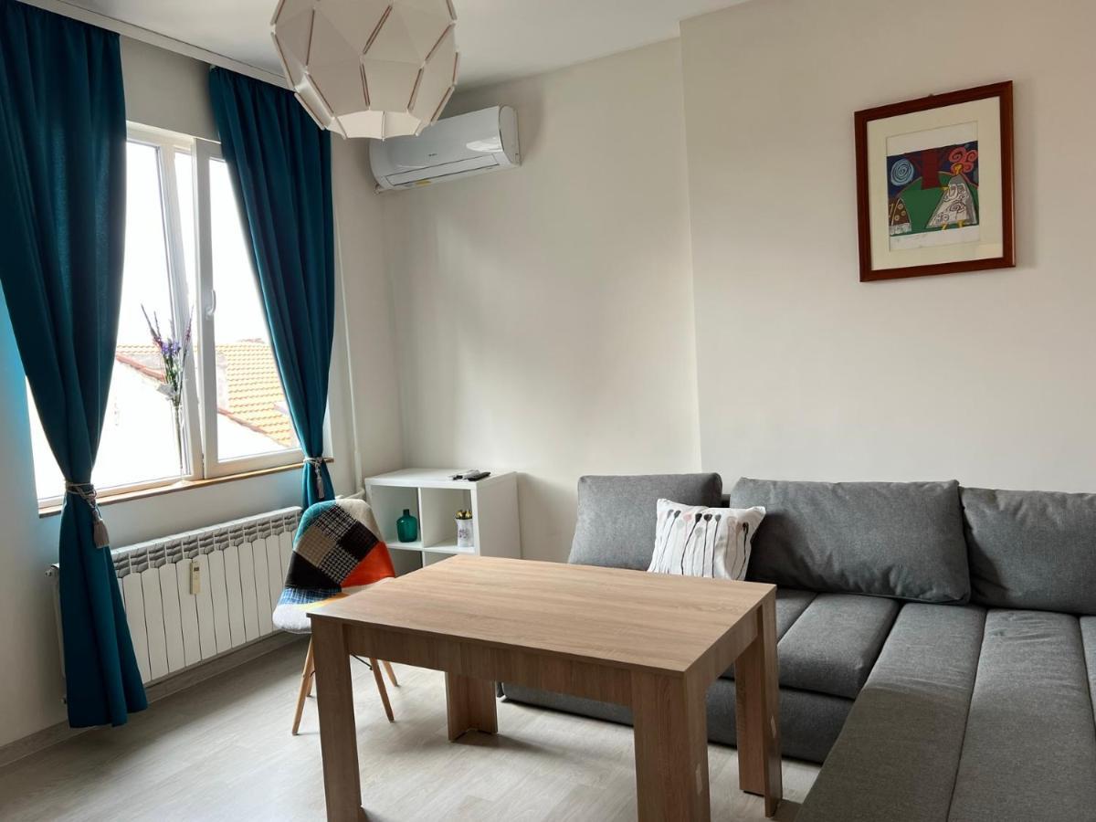 Vitosha 60 Apartman Szófia Kültér fotó